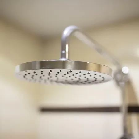 Junto A La Casa Natal De Picasso * Málaga